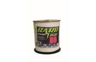 Ruban R6