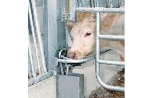 Abreuvoir anti-lapage F60 en fonte