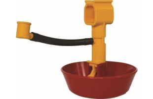 Abreuvoir mini cup - Lubing