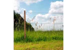 Fil High Tensile  Ø2.5mm 625m