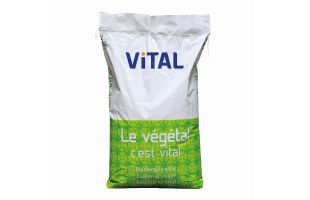 Mix 3 trèfles blancs BIO - 10kg