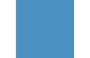 peinture type monosem