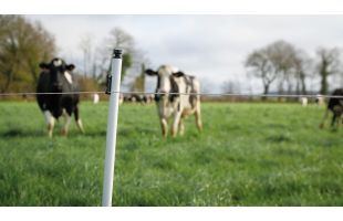 Piquet PVC haute densit&eacute;