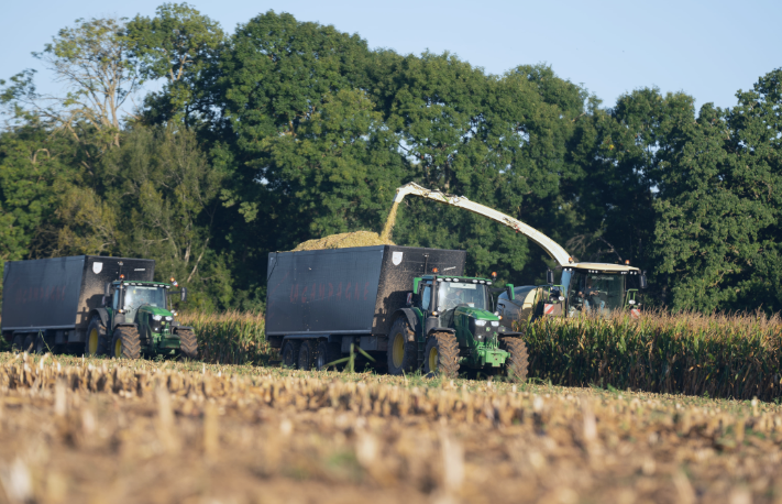 Comment conjuguer biodiversité, innovation et performance ? L'exemple de la ferme de la Tremblaye (78)