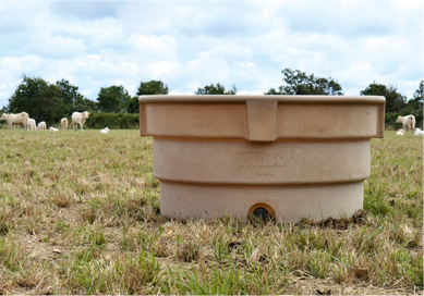 Quels sont les besoins en eau pour mon troupeau de vaches allaitantes ? 